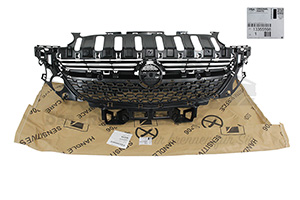 Kühlergitter Opel 13355598