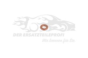 Dichtring für Einspritzdüse