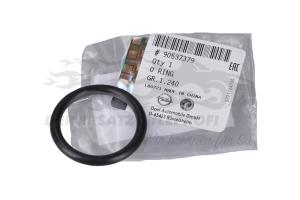 Thermostatdichtung Opel 90537379