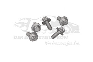 11096091 Zentrierschraube, Riemenscheibe-Kurbelwelle Opel