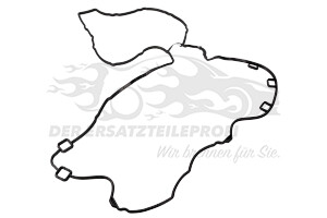 55569829 Dichtung, Zylinderkopfhaube Opel