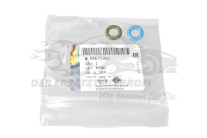 Dichtungssatz für Einspritzventil Opel 55579266