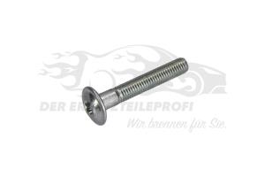 Schraube für Spannrolle