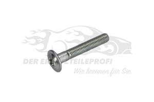 Schraube für Spannrolle