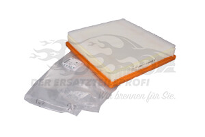 Luftfilter Opel 95519049