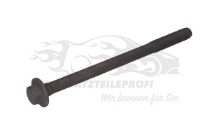 Zylinderkopfschrauben Opel 19352499