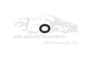 Dichtring für Einspritzventil