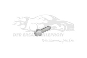 Schraube für Bremssattel