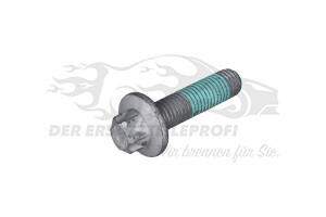 Schraube für Bremssattel