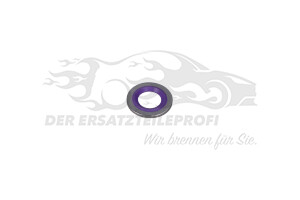 13418807 Dichtring für Klimatechnik Opel