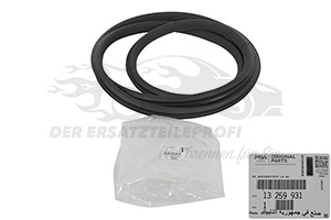 Türdichtung Opel 13259931