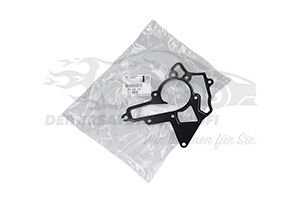 Dichtung für Wasserpumpe Opel 24428734