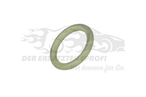 55556224 Dichtung, Ölpeilstab Opel