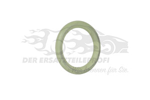 55556224 Dichtung, Ölpeilstab Opel