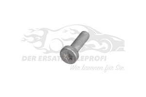 55575807 Schraube,allgemein Opel