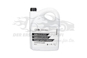 95528437 Frostschutz Citroen / Peugeot / Opel