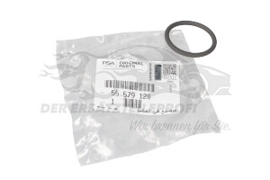 Dichtung für AGR-Ventil Opel 55579120