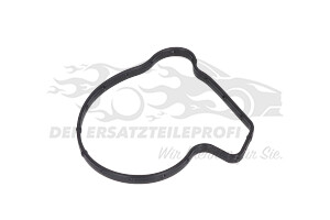 55491074 Dichtung, Wasserpumpe Opel