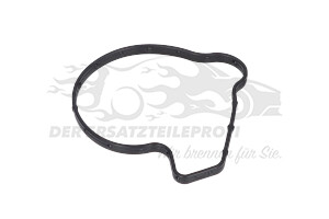 55491074 Dichtung, Wasserpumpe Opel