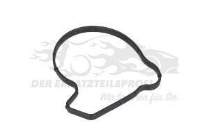 55491074 Dichtung, Wasserpumpe Opel