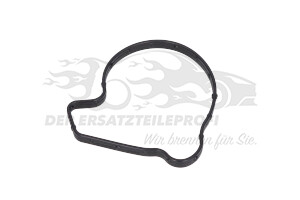 55491074 Dichtung, Wasserpumpe Opel
