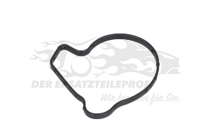 55491074 Dichtung, Wasserpumpe Opel