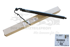 Heckklappendämpfer