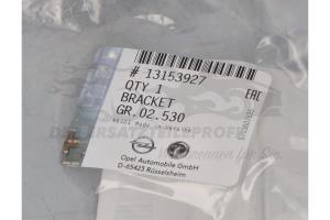 13153927 Lampenfassung, Blinkleuchte Citroen / Peugeot / Opel