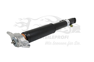 22834094 Stoßdämpfer Opel
