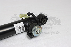 22834094 Stoßdämpfer Opel