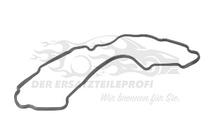Dichtung für Schaltgetriebe Opel 24234281
