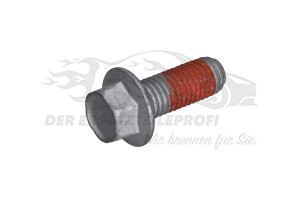 Schraube für Bremssattel Opel 11546339