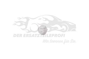 Clip für Zier-/ Schutzleiste