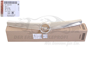 Blende für Kühlergitter Opel 13225780