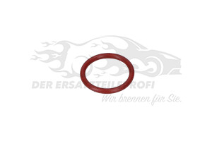 RINGDICHTUNG