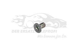 Schraube für Bremsscheibe