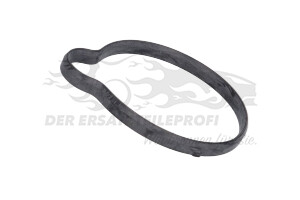 55565619 Dichtung, Thermostat Opel