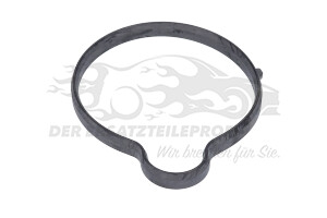 55565619 Dichtung, Thermostat Opel