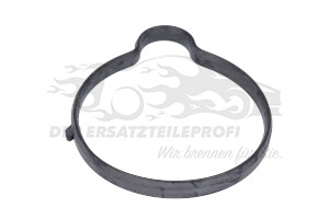 55565619 Dichtung, Thermostat Opel
