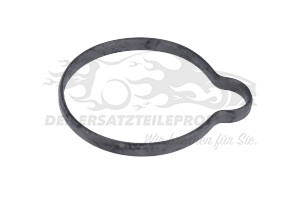 55565619 Dichtung, Thermostat Opel