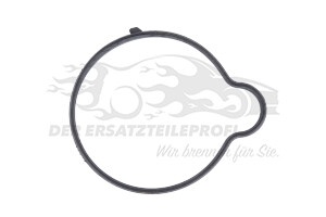55565619 Dichtung, Thermostat Opel