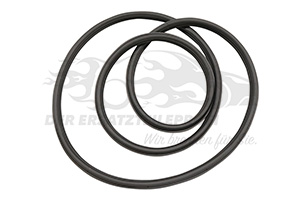 13189013 Türdichtung Opel