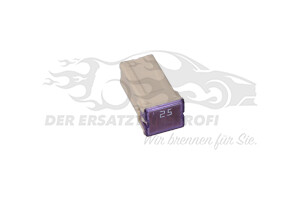 13171756 Sicherung Opel