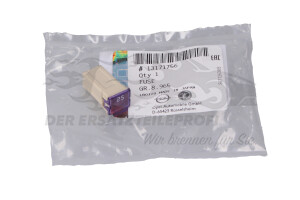 Sicherungen Opel 13171756