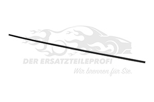 13204040 Zier-/Schutzleiste, Frontscheibe Opel