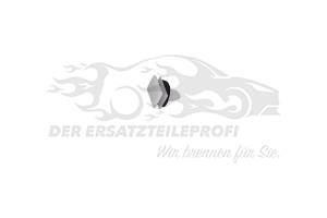 Clip für Zier-/ Schutzleiste