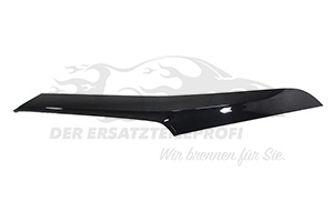 Zier- Schutzleiste für Tür Citroen / Peugeot / Opel 9829996780