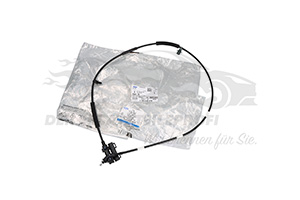 Motorhaubenzug Ford 2521679
