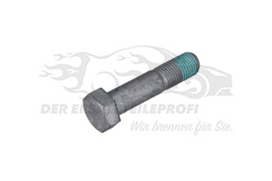 Schraube für Bremssattel hinten
