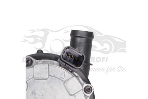 210107883R Wasserpumpe elektrisch Renault
